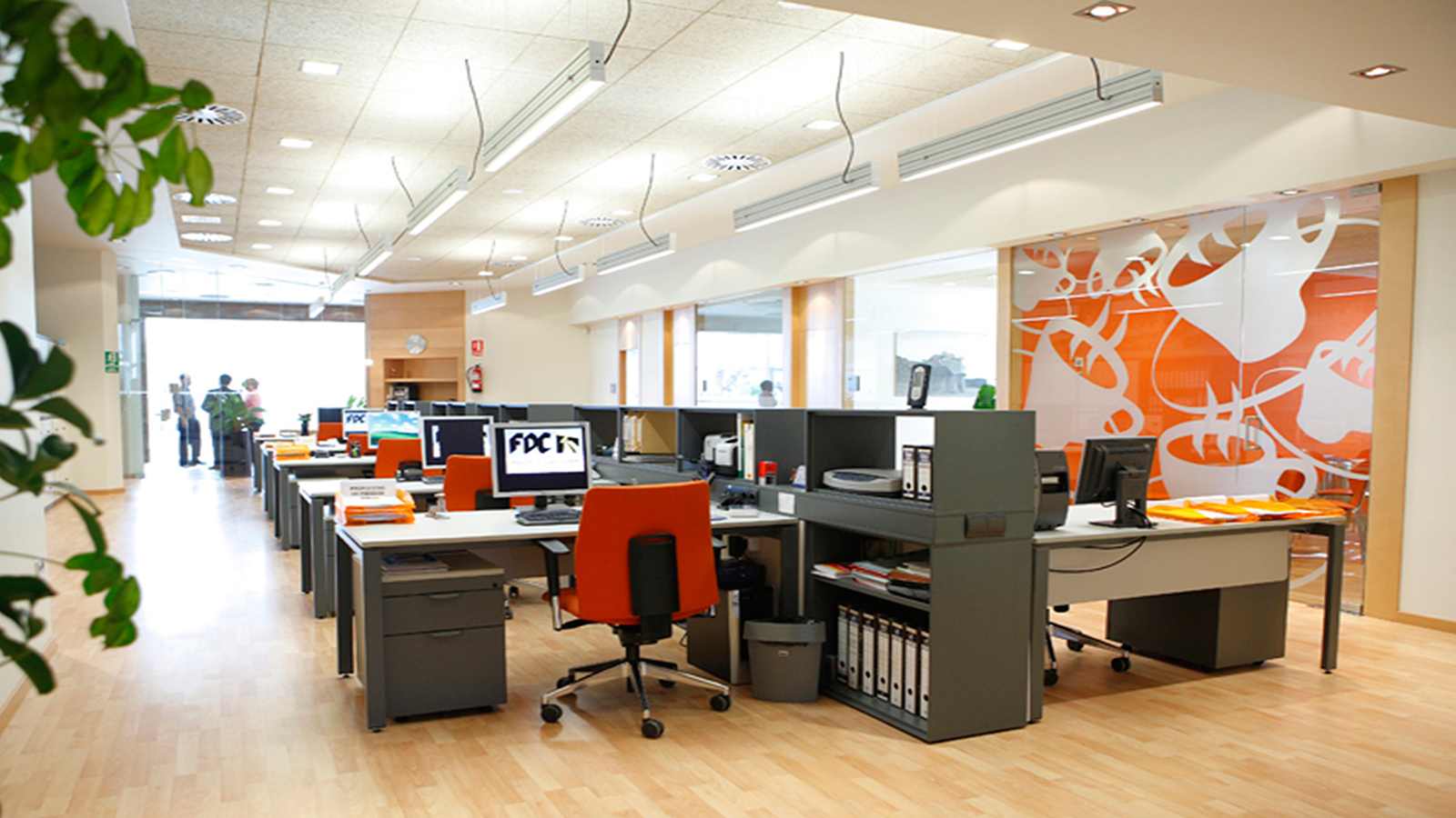 Oficinas FSC